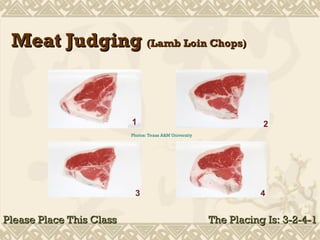 Comprehensive Guide to Meat Judging: Beef, Pork, Lamb & Veal Quality ...