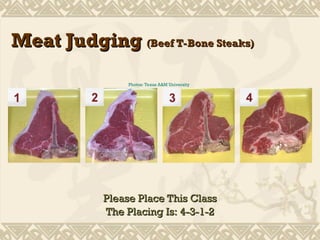 Comprehensive Guide to Meat Judging: Beef, Pork, Lamb & Veal Quality ...