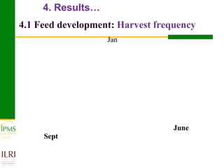 Meat and live animals value chain development: IPMS and partners experiences 
