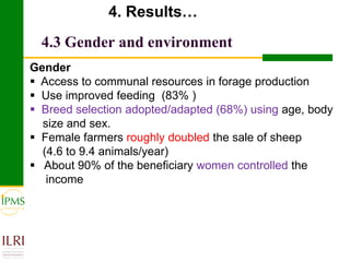 Meat and live animals value chain development: IPMS and partners experiences 