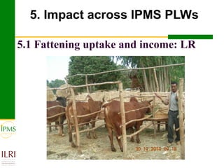 Meat and live animals value chain development: IPMS and partners experiences 
