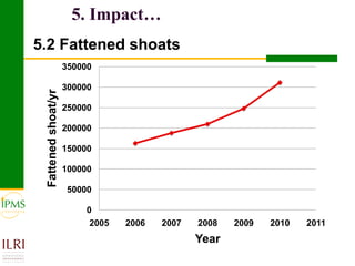 Meat and live animals value chain development: IPMS and partners experiences 