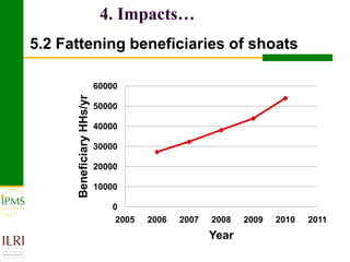 Meat and live animals value chain development: IPMS and partners experiences 