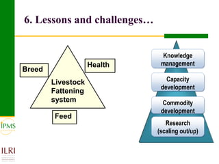 Meat and live animals value chain development: IPMS and partners experiences 