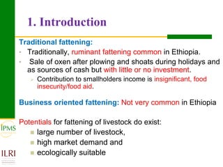Meat and live animals value chain development: IPMS and partners experiences 