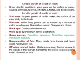 Aerobic growth of yeast on meat:
 Under Aerobic conditions, yeast grow on the surface of meats,
causing Sliminess, lipolysis, off odors, & tastes, and discolorations.
Aerobic growth of molds on meat:
 Stickiness: Incipient growth of molds makes the surface of the
meat sticky to the touch.
 Whiskers: White fuzzy growth can be caused by a number of
molds including sps. Thamnidium, Mucor, Rhizopus and others.
 Black spot: Cladosporium herbarum.
 White spot: Sporotrichum carnis, Geotrichum.
 Green patches: Penicillium expansum, Penicillium asperulum,
Penicillium oxalicum.
 Decomposition of Fats: Many molds have lipases and hence
cause hydrolysis of fats.
 Off odour and off tastes: Molds give a musty flavour to meat in
the vicinity of their growth. Sometimes this defect is given a name
called “thamnidium taint”.
 