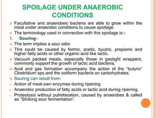 SPOILAGE UNDER ANAEROBIC
CONDITIONS
 Facultative and anaerobeic bacteria are able to grow within the
meat under anaerobic conditions to cause spoilage.
 The terminology used in connection with this spoilage is:-
1. Souring:-
 The term implies a sour odor.
 This could be caused by formic, acetic, byutric, propionic and
higher fatty acids or other organic acid like lactic.
 Vacuum packed meats, especially those in gastight wrappers,
commonly support the growth of lactic acid bacteria.
 Acid and gas formation accompany the action of the “butyric”
Clostridium sps and the coliform bacteria on carbohydrates.
 Souring can result from-
a. Action of meat own enzymes during ripening
b. Anaerobic production of fatty acids or lactic acid during ripening.
c. Proteolysis without putrefacation, caused by anaerobes & called
as “Stinking sour fermentation”.
 