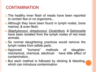 CONTAMINATION
 The healthy inner flesh of meats have been reported
to contain few or no organisms,.
 Although they have been found in lymph nodes, bone
marrow, & even flesh.
 Staphylococci, streptococci, Clostridium, & Salmonella
have been isolated from the lymph nodes of red meat
animals.
 So normal slaughtering practices would remove the
lymph nodes from edible parts.
 Approved “humane” methods of slaughter-
mechanical, chemical, electrical- have little effect of
contamination..
 But each method is followed by sticking & bleeding,
which can introduce contamination.
 