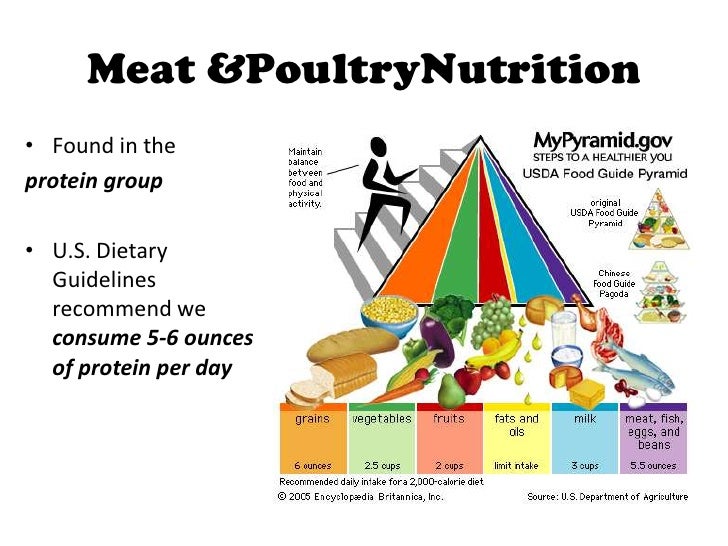 Meat & Poultry PowerPoint