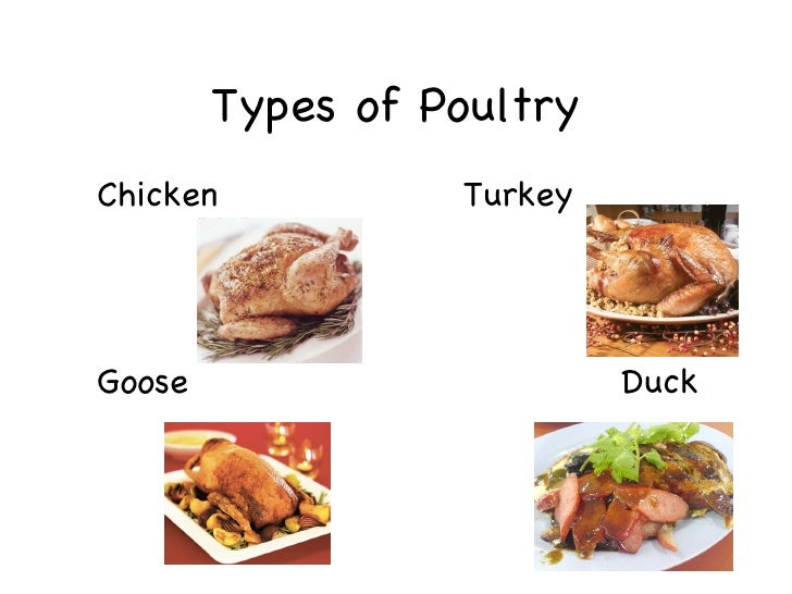4 Perbedaan Daging Bebek Dan Ayam, Mana Yang Lebih Sehat?