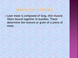  Lean meat is composed of long, thin muscle
fibers bound together in bundles. These
determine the texture or grain of a piece of
meat.
 