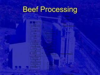 Meat Processing Facility Design | PPT
