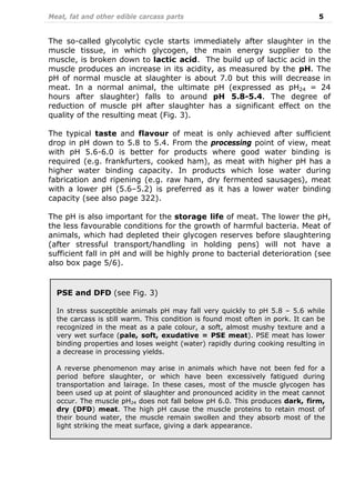 Meat, fat and other edible carcass parts 5
The so-called glycolytic cycle starts immediately after slaughter in the
muscle tissue, in which glycogen, the main energy supplier to the
muscle, is broken down to lactic acid. The build up of lactic acid in the
muscle produces an increase in its acidity, as measured by the pH. The
pH of normal muscle at slaughter is about 7.0 but this will decrease in
meat. In a normal animal, the ultimate pH (expressed as pH24 = 24
hours after slaughter) falls to around pH 5.8-5.4. The degree of
reduction of muscle pH after slaughter has a significant effect on the
quality of the resulting meat (Fig. 3).
The typical taste and flavour of meat is only achieved after sufficient
drop in pH down to 5.8 to 5.4. From the processing point of view, meat
with pH 5.6-6.0 is better for products where good water binding is
required (e.g. frankfurters, cooked ham), as meat with higher pH has a
higher water binding capacity. In products which lose water during
fabrication and ripening (e.g. raw ham, dry fermented sausages), meat
with a lower pH (5.6–5.2) is preferred as it has a lower water binding
capacity (see also page 322).
The pH is also important for the storage life of meat. The lower the pH,
the less favourable conditions for the growth of harmful bacteria. Meat of
animals, which had depleted their glycogen reserves before slaughtering
(after stressful transport/handling in holding pens) will not have a
sufficient fall in pH and will be highly prone to bacterial deterioration (see
also box page 5/6).
PSE and DFD (see Fig. 3)
In stress susceptible animals pH may fall very quickly to pH 5.8 – 5.6 while
the carcass is still warm. This condition is found most often in pork. It can be
recognized in the meat as a pale colour, a soft, almost mushy texture and a
very wet surface (pale, soft, exudative = PSE meat). PSE meat has lower
binding properties and loses weight (water) rapidly during cooking resulting in
a decrease in processing yields.
A reverse phenomenon may arise in animals which have not been fed for a
period before slaughter, or which have been excessively fatigued during
transportation and lairage. In these cases, most of the muscle glycogen has
been used up at point of slaughter and pronounced acidity in the meat cannot
occur. The muscle pH24 does not fall below pH 6.0. This produces dark, firm,
dry (DFD) meat. The high pH cause the muscle proteins to retain most of
their bound water, the muscle remain swollen and they absorb most of the
light striking the meat surface, giving a dark appearance.
 