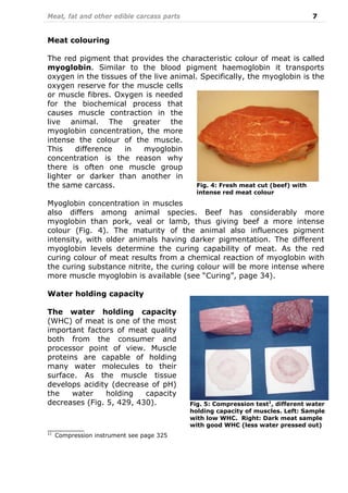 Meat, fat and other edible carcass parts 7
Meat colouring
The red pigment that provides the characteristic colour of meat is called
myoglobin. Similar to the blood pigment haemoglobin it transports
oxygen in the tissues of the live animal. Specifically, the myoglobin is the
oxygen reserve for the muscle cells
or muscle fibres. Oxygen is needed
for the biochemical process that
causes muscle contraction in the
live animal. The greater the
myoglobin concentration, the more
intense the colour of the muscle.
This difference in myoglobin
concentration is the reason why
there is often one muscle group
lighter or darker than another in
the same carcass.
Myoglobin concentration in muscles
also differs among animal species. Beef has considerably more
myoglobin than pork, veal or lamb, thus giving beef a more intense
colour (Fig. 4). The maturity of the animal also influences pigment
intensity, with older animals having darker pigmentation. The different
myoglobin levels determine the curing capability of meat. As the red
curing colour of meat results from a chemical reaction of myoglobin with
the curing substance nitrite, the curing colour will be more intense where
more muscle myoglobin is available (see “Curing”, page 34).
Water holding capacity
The water holding capacity
(WHC) of meat is one of the most
important factors of meat quality
both from the consumer and
processor point of view. Muscle
proteins are capable of holding
many water molecules to their
surface. As the muscle tissue
develops acidity (decrease of pH)
the water holding capacity
decreases (Fig. 5, 429, 430).
__________
1)
Compression instrument see page 325
Fig. 5: Compression test1
, different water
holding capacity of muscles. Left: Sample
with low WHC. Right: Dark meat sample
with good WHC (less water pressed out)
Fig. 4: Fresh meat cut (beef) with
intense red meat colour
 
