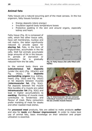 10 Meat, fat and other edible carcass parts
Animal fats
Fatty tissues are a natural occurring part of the meat carcass. In the live
organism, fatty tissues function as
Energy deposits (store energy)
Insulation against body temperature losses
Protective padding in the skin and around organs, especially
kidney and heart.
Fatty tissue (Fig. 8) is composed of
cells, which like other tissue cells,
have cell membranes, nucleus and
cell matrix, the latter significantly
reduced to provide space for
storing fat. Fats, in the form of
triglycerides, accumulate in the fat
cells. Well fed animals accumulate
large amounts of fat in the tissues.
In periods of starvation or
exhaustion, fat is gradually
reduced from the fat cells.
In the animal body there are
subcutaneous fat deposits
(under the skin) (Fig. 10(a/b)) and
Fig. 14(a)), fat deposits
surrounding organs (e.g. kidney,
heart) (Fig. 10(d) and Fig. 16(a))
or fat deposits between muscles
(intermuscular fat, (Fig. 9(a)).
Fat deposits between the muscle
fibre bundles of a muscle are called
intramuscular fat (Fig. 9(b)) and
lead in higher accumulations to
marbling. Marbling of muscle meat
contributes to tenderness and
flavour of meat. Many consumers
prefer marbling of meat for steaks
and other roasted meat dishes.
For processed meat products, fats are added to make products softer
and also for taste and flavour improvement. In order to make best
use of animal fats, basic knowledge on their selection and proper
utilization is essential.
Fig. 8: Fatty tissue (fat cells filled with
lipids)
Fig. 9: Intermuscular fat (a) (around
individual muscles) and intramuscular
fat (b) (inside muscle tissue)
 