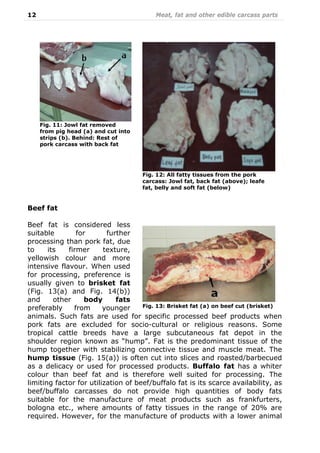 12 Meat, fat and other edible carcass parts
Beef fat
Beef fat is considered less
suitable for further
processing than pork fat, due
to its firmer texture,
yellowish colour and more
intensive flavour. When used
for processing, preference is
usually given to brisket fat
(Fig. 13(a) and Fig. 14(b))
and other body fats
preferably from younger
animals. Such fats are used for specific processed beef products when
pork fats are excluded for socio-cultural or religious reasons. Some
tropical cattle breeds have a large subcutaneous fat depot in the
shoulder region known as “hump”. Fat is the predominant tissue of the
hump together with stabilizing connective tissue and muscle meat. The
hump tissue (Fig. 15(a)) is often cut into slices and roasted/barbecued
as a delicacy or used for processed products. Buffalo fat has a whiter
colour than beef fat and is therefore well suited for processing. The
limiting factor for utilization of beef/buffalo fat is its scarce availability, as
beef/buffalo carcasses do not provide high quantities of body fats
suitable for the manufacture of meat products such as frankfurters,
bologna etc., where amounts of fatty tissues in the range of 20% are
required. However, for the manufacture of products with a lower animal
Fig. 11: Jowl fat removed
from pig head (a) and cut into
strips (b). Behind: Rest of
pork carcass with back fat
Fig. 12: All fatty tissues from the pork
carcass: Jowl fat, back fat (above); leafe
fat, belly and soft fat (below)
Fig. 13: Brisket fat (a) on beef cut (brisket)
 
