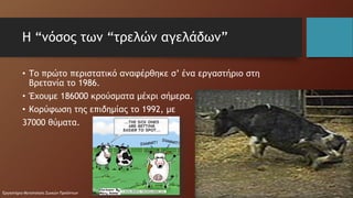 Ποιότητα κρέατος