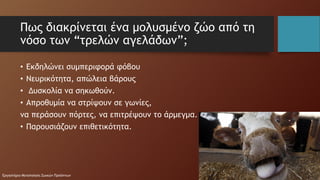 Ποιότητα κρέατος