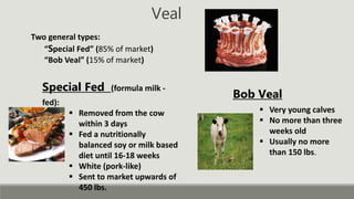 Veal
Special Fed (formula milk -
fed):
 Removed from the cow
within 3 days
 Fed a nutritionally
balanced soy or milk based
diet until 16-18 weeks
 White (pork-like)
 Sent to market upwards of
450 lbs.
Two general types:
“Special Fed” (85% of market)
“Bob Veal” (15% of market)
Bob Veal
 Very young calves
 No more than three
weeks old
 Usually no more
than 150 lbs.
 
