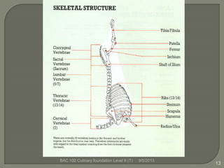 9/5/2013BAC 102 Culinary foundation Level II (T)
13
 