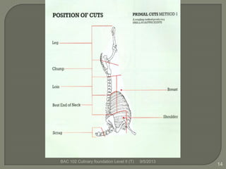 9/5/2013BAC 102 Culinary foundation Level II (T)
14
 