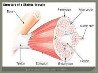9/5/2013BAC 102 Culinary foundation Level II (T)
5
 