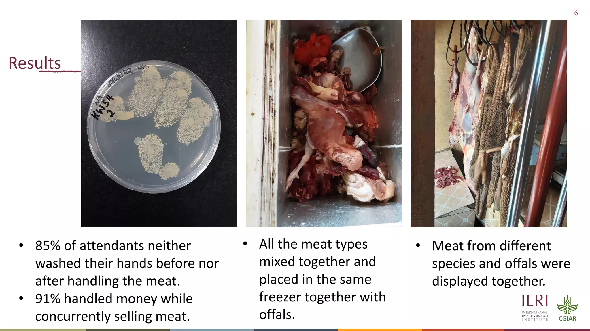 6
Results
• 85% of attendants neither
washed their hands before nor
after handling the meat.
• 91% handled money while
concurrently selling meat.
• All the meat types
mixed together and
placed in the same
freezer together with
offals.
• Meat from different
species and offals were
displayed together.
 