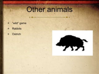 Other animals
 “wild” game
 Rabbits
 Ostrich
 