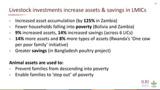 Sustainable livestock opportunities and future food system realities