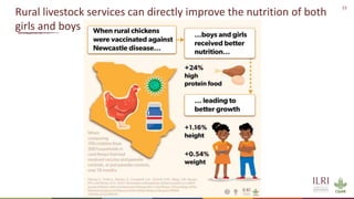 Sustainable livestock opportunities and future food system realities