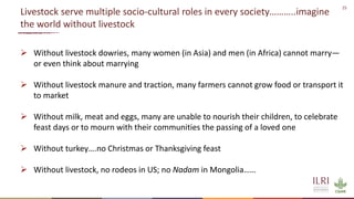 Sustainable livestock opportunities and future food system realities