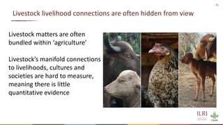 Sustainable livestock opportunities and future food system realities