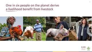 Sustainable livestock opportunities and future food system realities
