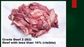  A high proportion of bone to meat increases the cost of
meat.
 The carcass with a high proportion of meat to bone is th...