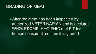 GRADING OF MEAT
After the meat has been inspected by
authorized VETERINARIAN and is declared
WHOLESOME, HYGIENIC and FIT ...