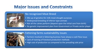 No recognized Meat Breed
• Mix up of genetics for milk-meat-draught purposes
• Widespread breeding of inferior type animals
• Not all the calves perform (depend upon the initial care from birth)
• No genetic improvement plan from Government or Private sector player
Fattening farms sustainability issues
• Farmers involved in fattening business have always a cash flow issue.
• Lack of training of livestock production methods
• High cost of production as compared to the prevailing sale price
 