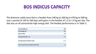 The Brahman cattle were fed in a feedlot from 240 kg to 260 kg to 470 kg to 500 kg
over a period of 120 to 160 days with gains in the feedlot of 1.2 to 1.4 kg per day. The
diet was an all concentrate high energy diet. The feedlot performance is in Table 2.
Arrival Weight, kg 254
Final Weight, kg 490
Days on Feed 160
Average Daily Gain, kg 1.43
Average Daily Dry Matter Intake 6.14
Feed to Kg of Gain dry Matter Basis (FCR) 4.3
 