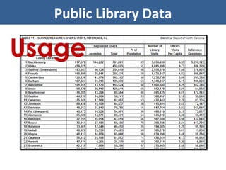 Public Library Data Usage 