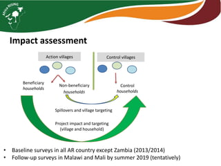 Monitoring, data management, and impact assessment in Africa RISING