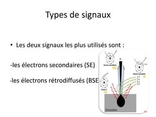 Types de signaux
• Les deux signaux les plus utilisés sont :
-les électrons secondaires (SE)
-les électrons rétrodiffusés (BSE)
54
 