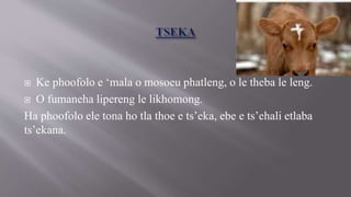  Ke phoofolo e ‘mala o mosoeu phatleng, o le theba le leng.
 O fumaneha lipereng le likhomong.
Ha phoofolo ele tona ho tla thoe e ts’eka, ebe e ts’ehali etlaba
ts’ekana.
 