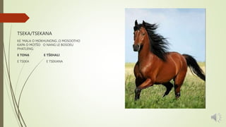 TSEKA/TSEKANA
KE ‘MALA O MOKHUNONG ,O MOSOOTHO
KAPA O MOTŠO O NANG LE BOSOEU
PHATLENG.
E TONA E TŠEHALI
E TSEKA E TSEKANA
 