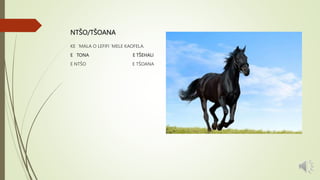 NTŠO/TŠOANA
KE ‘MALA O LEFIFI ‘MELE KAOFELA.
E TONA E TŠEHALI
E NTŠO E TŠOANA
 