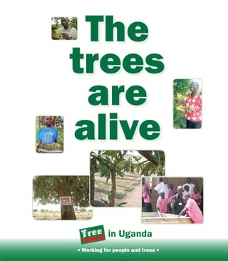 The
trees
 are
alive

           in Uganda
. Working for people and trees .
 