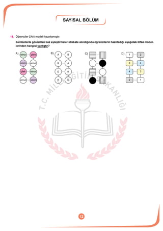 SAYISAL BÖLÜM
12
18.	 Öğrenciler DNA modeli hazırlamıştır.
Sembollerle gösterilen baz eşleştirmeleri dikkate alındığında öğrencilerin hazırladığı aşağıdaki DNA model-
lerinden hangisi yanlıştır?
A) B) C) D)A
A
E
B
B
E K
K
4
1
2
3elma
elma
çilek
çilek
armut
armut üzüm
üzüm
1
3
4
2
 