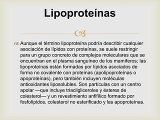 Lipoproteínas


 Aunque el término lipoproteína podría describir cualquier
asociación de lípidos con proteínas, se suele restringir
para un grupo concreto de complejos moleculares que se
encuentran en el plasma sanguíneo de los mamíferos; las
lipoproteínas están formadas por lípidos asociados de
forma no covalente con proteínas (apolipoproteínas o
apoproteínas), pero también incluyen moléculas
antioxidantes liposolubles. Son partículas con un centro
apolar —que incluye triacilgliceroles y ésteres de
colesterol— y un revestimiento anfifílico formado por
fosfolípidos, colesterol no esterificado y las apoproteínas.

 