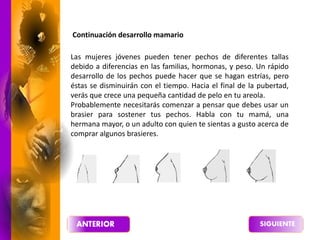 Las mujeres jóvenes pueden tener pechos de diferentes tallas
debido a diferencias en las familias, hormonas, y peso. Un rápido
desarrollo de los pechos puede hacer que se hagan estrías, pero
éstas se disminuirán con el tiempo. Hacia el final de la pubertad,
verás que crece una pequeña cantidad de pelo en tu areola.
Probablemente necesitarás comenzar a pensar que debes usar un
brasier para sostener tus pechos. Habla con tu mamá, una
hermana mayor, o un adulto con quien te sientas a gusto acerca de
comprar algunos brasieres.
Continuación desarrollo mamario
 