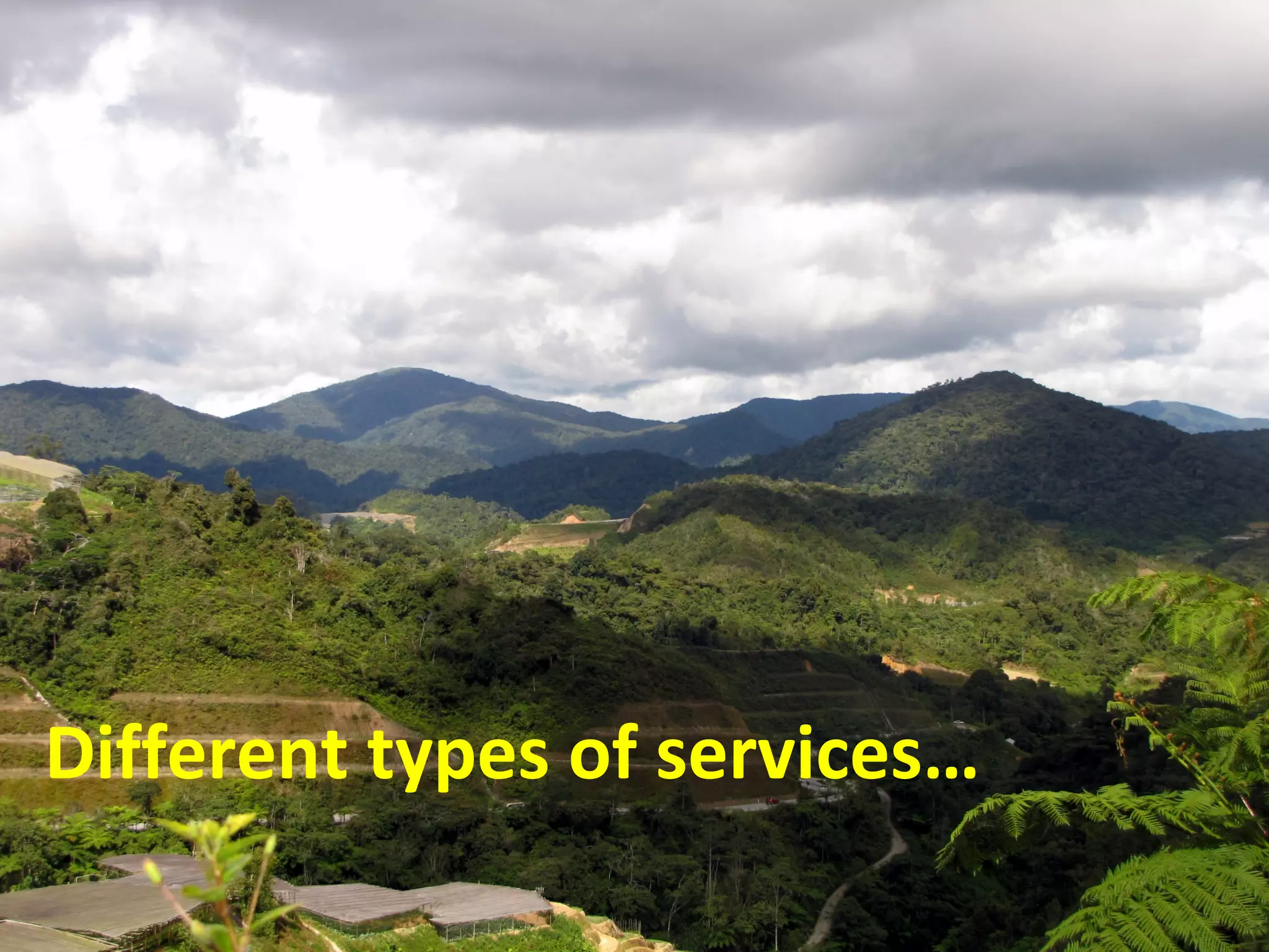 Different types of services…
 