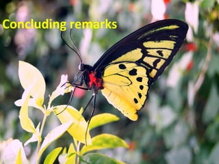 Concluding remarks
 