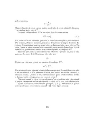 pelo seu norme,
n =
1
|r|
r.
O procedimento de obter o vetor uniário na direção do vetor original é dito como
´´normalização do vetor r´´.
O espaço tridimensional R(3)
é o conjuto de todos estes vetores.
R(3)
= {r} . (11.2)
Um vetor não é um número e, portanto, é essencial distinguir-lo pelos números.
Por exemplo, até neste momento, nem estão deﬁnidas as operações de adição dos
vetores, de multiplicar números a um vetor, ou fazer produtos entre vetores. Um
vetor r pode se tornar uma entidade matemática que permite fazer algum tipo de
cálculos, só quando introduzimos a estrutura algebrica no conjunto R(3)
.
Primeiro, para dado r, consideramos um vetor que é paralelo a r, mas o com-
primento é α vezes de r. Denotamos este vetor por
αr.
É claro que este novo vetor é um membro do conjunto R(3)
,
αr ∈ R(3)
.
Em outras palavras, estamos introduzindo uma operação de multiplicar um vetor
r por um número α. Em contraste ao vetor, este último, em vez de “número”, é
chamado escalar. Quando α < 0, convencionamos que o vetor resultante inverte
a direção, tendo o comprimento |α| vezes do vetor r.
Note que quando α = 0, o vetor resultante αr para qualquer vetor corresponde
a origem. Denotamos o vetor corresponde a origem por 0, pela razão obvia acima.
Agora, consideramos dois vetores quaisquer, r1 e r2. Denotamos os pontos
correspondentes a estes vetores como P1 e P2 (ver a ﬁgura abaixo).
105
 